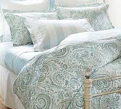 Painterly Paisley 400 Thread Count