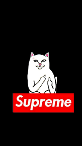 gucci iphone wallpaper supreme