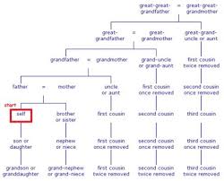 Cousins Once Removed Family Tree Chart Family Genealogy