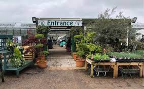Garden Plant Nursery In Mid Suffolk
