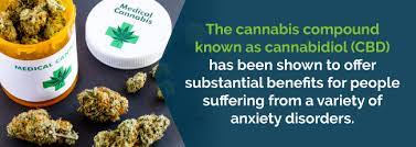 Is becoming easier all the time. Medical Marijuana For Anxiety Marijuana Doctors