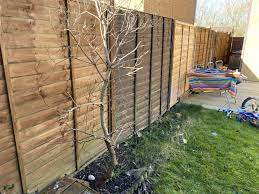 Help How To Cover Up Ugly Fence Panels