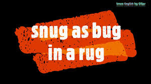 snug as bug in a rug idiom in famous