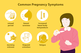 16 early pregnancy symptoms and signs