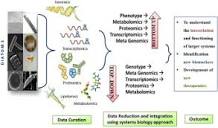 New paradigm in diatom omics and genetic manipulation - ScienceDirect