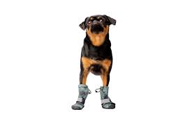the 8 best dog boots of 2024