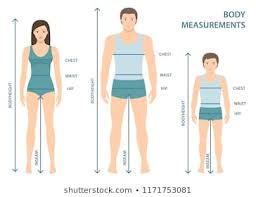 Clothes Size Chart Images Stock Photos Vectors Shutterstock