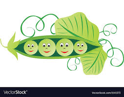 green peas cartoon royalty free vector