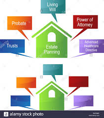 An Image Of A Estate Planning Chart Stock Vector Art