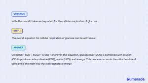 Cellular Respiration Of Glucose