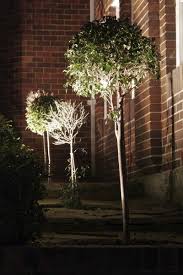 diy uplighting garden lighting