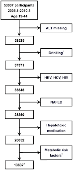 A Flow Diagram Of Study Participants Alcohol Consumption