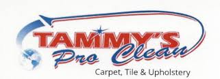 carpet cleaning service panama city