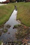 Lawn or yard drainage problems The Sensible Gardener