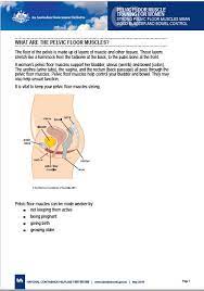 pelvic floor muscle training for women