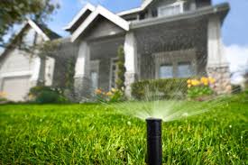 how long to water the gr and lawns