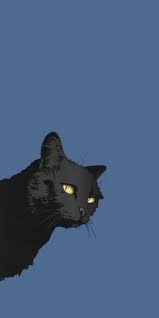 Black Cat Hd Mobile Wallpaper
