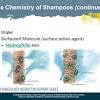 The chemistry of shampoo