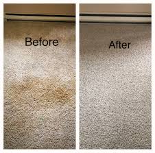 carpet upholstery cleaning reclaim