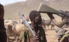 Image result for fulani herdsmen