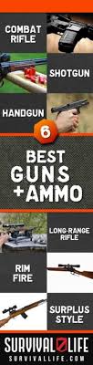 Arsenal now supports r15, gamepad, mobile and has plenty of new and. The Best Survival Guns And Ammo For Your Arsenal Gun Carrier