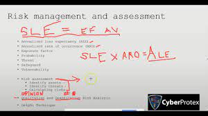 ale sle aro risk management and