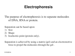 ppt electropsis powerpoint