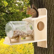 Backyard Squirrel Feeder W Gallon