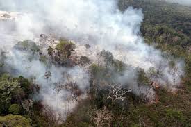 Resultado de imagem para queimadas na amazonia