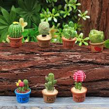Tiny Cactus Succulent Potted Plants