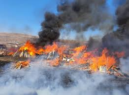 83 de persoane dau ZILNIC foc unui câmp. Incendiile de vegetație au crescut de aproape patru ori de la începutul anului