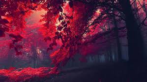 red forest 3840x2160 4k 8k hd hd