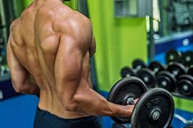 7 move tricep workout for bigger arms