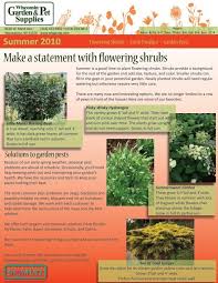 make a statement with flowering shrubs