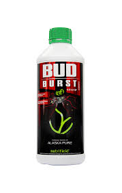 Bud Burst Nutrifield Australias Leading Manufacturer