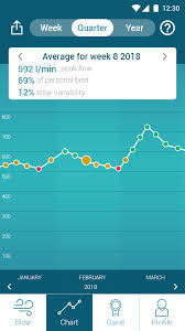 Asthma Peak Flow Meter Chart Template Check Readings Normal