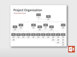 Large Project Organization Chart