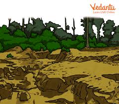 soil erosion definition causes