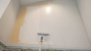 Tips For Painting Moldy Bathroom Walls