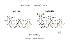 Concertinas The Button Box