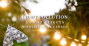 How Light Pollution Affects Life In The