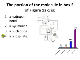 ppt the portion of the molecule in