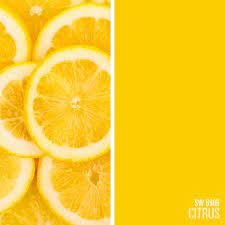 Citrus Sw 6906 Yellow Paint Color