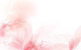 light pink flower background hd