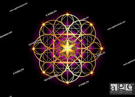 seed of life symbol sacred geometry