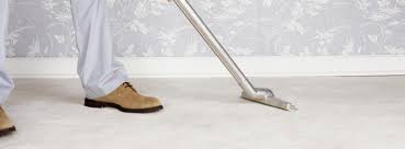 carson city carpet cleaning