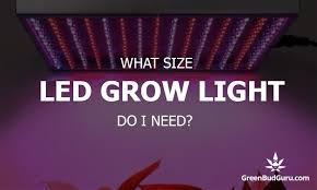 What Size Led Grow Light Do I Need For Growing Weed