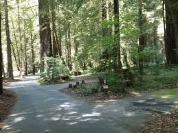 Maybe you would like to learn more about one of these? Grizzly Creek Redwoods State Park Carlotta 2021 All You Need To Know Before You Go With Photos Tripadvisor