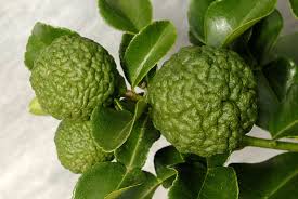 what are makrut lime leaves