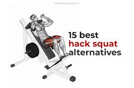 quads without a hack squat machine